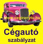 C&eacute;gauto szab&aacute;lyzat minta