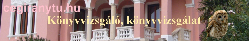 cegiranytu.hu f�oldal fejl�c