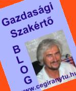 Gazdas&aacute;gi szak&eacute;rt� Blog a K&ouml;nyvvizsg&aacute;l&oacute; &uuml;zleti t&eacute;m&aacute;j&uacute; &iacute;r&aacute;sai menedzsereknek &eacute;s gazdas&aacute;gi szakembereknek