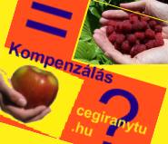 Kompenzáló levél minta Kompenzáló levél minta