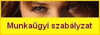Munka�gyi szab�lyzat minta
