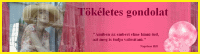 T�k�letes gondolat