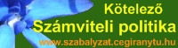 Szmviteli politika minta